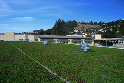 Largest LiveRoof Green Roof in California reduces noise