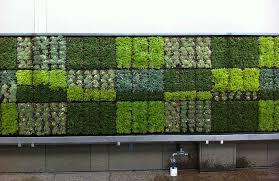 Living walls make city life safer and less stressful