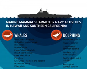 Plan to stop devastating ocean noise pollution